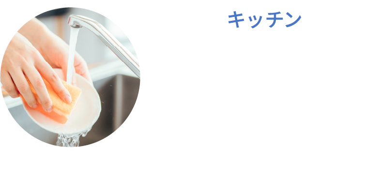 キッチン 洗い物の汚れが落ちやすくなります。また、無防備になっている浄水器以後の配管内、排水口のパイオフィルムを除去します。