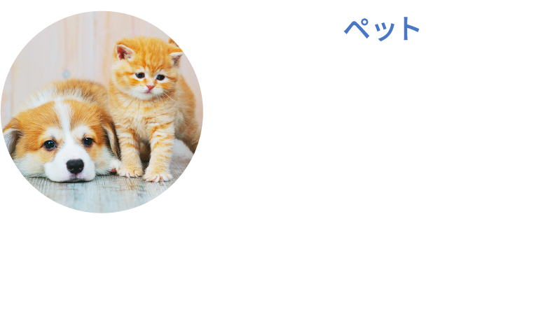 ペット ペットのシャンプーの効果を上げ、毛穴の奥までしっかりと洗い流すだけでなくニオイも除去します。また皮膚と被毛に保湿効果を与えしっとり感が長く続きます。